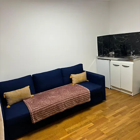 Le Cocon De Apartment Choisy-le-Roi